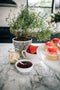 fresh lemon thyme plant, white chocolate pearls, fresh strawberries, artisan strawberry jam premium ingredients used to make fresh tarts by tartlet bakery